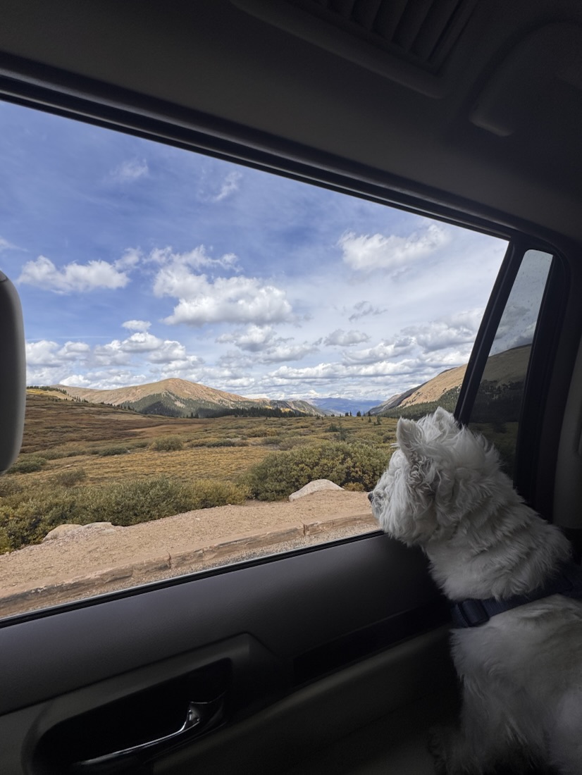 Elton looking out a car window at mountains